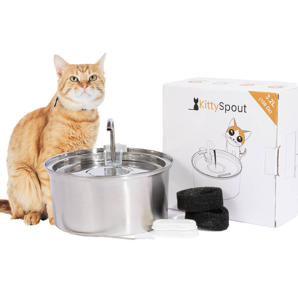 The KittySpout™ Cat Kit